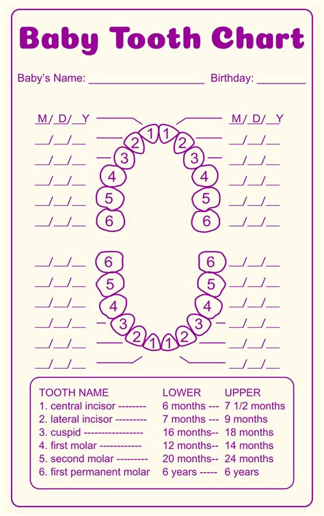 dental tooth chart printable|printable dental charting template.